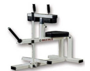 Quality Fitness by Maximus MX-580 Seated Calf