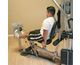 Calf Press