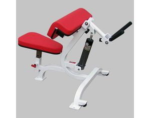 Quantum Fitness QKA-9034 Arm Curl/Triceps Extension
