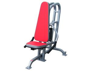Quantum Fitness QAA-9019 Shoulder Lift/Triceps Press