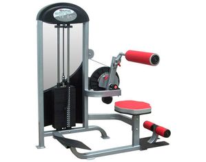 Quantum Fitness QPS-6542 Abdominal/Back Extension - FREE Inside Delivery!