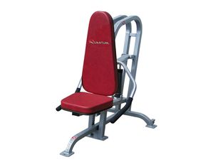 Quantum Fitness QKA-9039 Shoulder Lift/Triceps Press