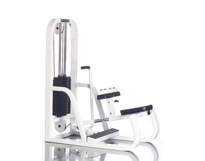 Maxicam Seated Calf Weight Press