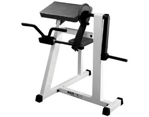 Multisports Pro ROM Series Bicep/Triceps Machine