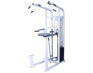 Quality Fitness by Maximus MX-330 Assisted Chin-Dip
