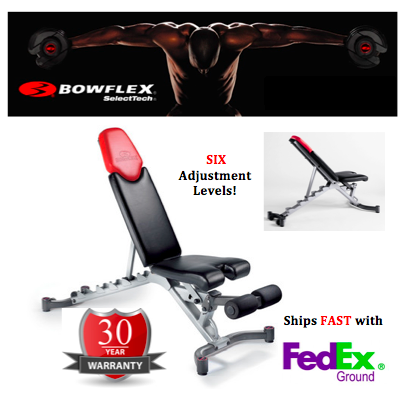 Bowflex 5.1 SelectTech Dumbbell Bench image