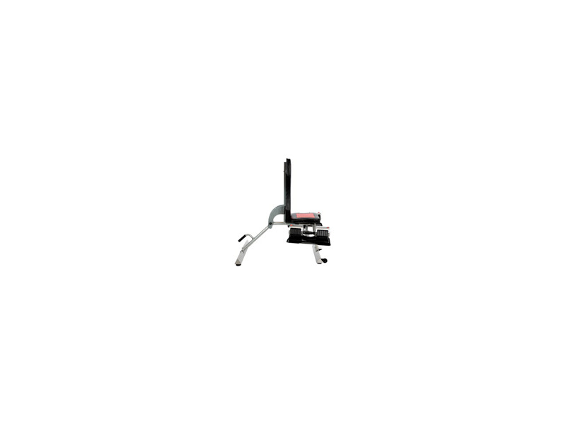 Seated (with Optional Adjustable Weights)