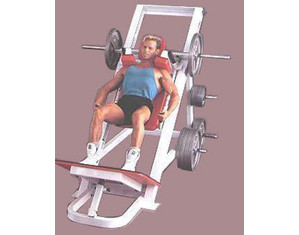 Maxicam Hackslide - FREE Inside Delivery!