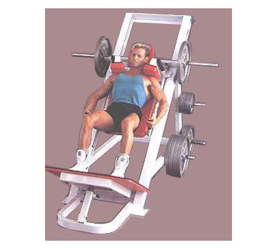 Maxicam_Hackslide_Weight_Bench_II.jpg
