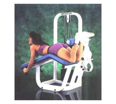 Maxicam_Leg_Curl_V-Bench_Weight_Bench_II.jpg
