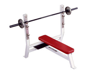 Maxicam Olympic Bench Press