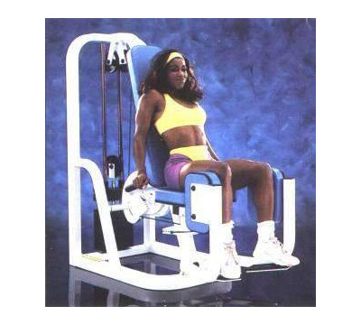 Maxicam_Outer_Thigh_Weight_Machine_Weight_Bench_II.jpg