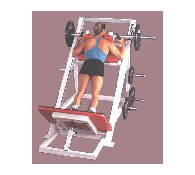 Maxicam_Ram_and_Hackslide_Weight_Bench_II.jpg