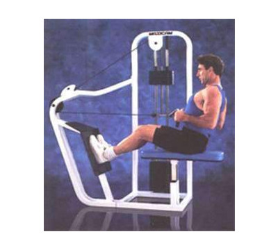 Maxicam_Roger_Row_Weight_Machine_Weight_Bench_II.jpg