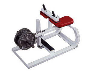 Maxicam Seated Calf Machine Press - Fast FREE FedEx Shipping!
