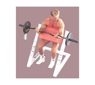 Maxicam_Seated_Preacher_Curl_Bench_Weight_Bench_II.jpg