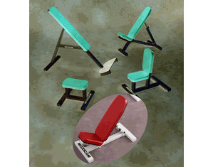 Maxicam Small Seated Incline Bench - Fast FREE FedEx Shipping!