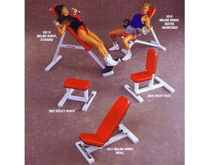 Maxicam Standing Incline Bench - Fast FREE FedEx Shipping!