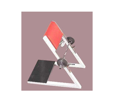Maxicam_Standing_Preacher_Curl_Press_Weight_Bench_II.jpg