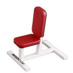 Specialty Bench  Weight Benches