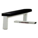 $250 to $500  Weight Benches