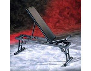 Pt-pro Portable Fitness Weight Bench