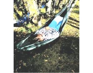 Save  on Crazy Crib Hammock at The Hammock Superstore