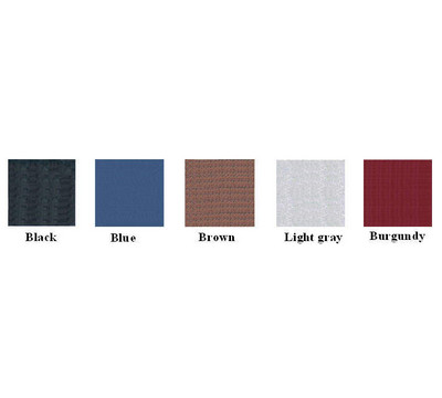 Color Swatch