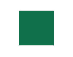Invitational 3074 Basic Green Backed Fabric - Fast FREE FedEx Shipping!