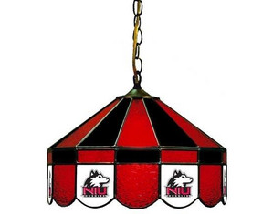 Glass Prints 16 inch Swang Hanging Lamp - Fast FREE FedEx Shipping!