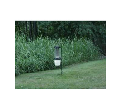 Yard Placement