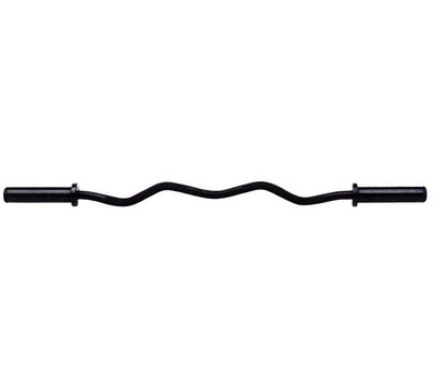 Hampton_Fitness_International_Black_Oxide_Curl_Bar_Weight_Bar_Plate.jpg