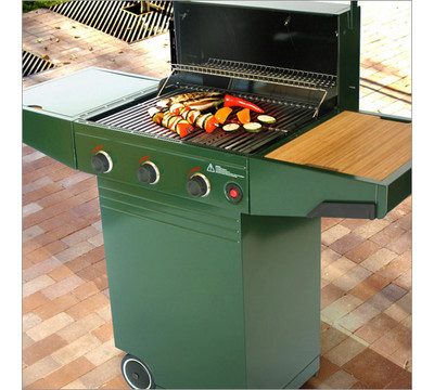 Master Grill in Green