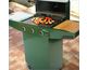 Master Grill in Green