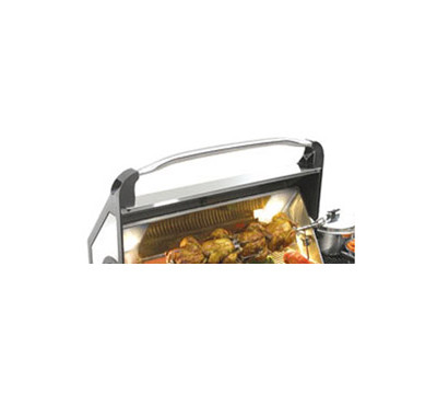 Handle and Integrated Light