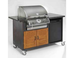 Fire Stone Legacy Cook Number 24 inch Gas Grill Head - Fast FREE FedEx Shipping!