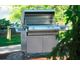 Grill with Open Hood