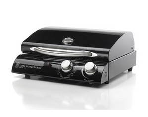 Fire Stone Portable 20 inch Gas Grill in Black Porcelain