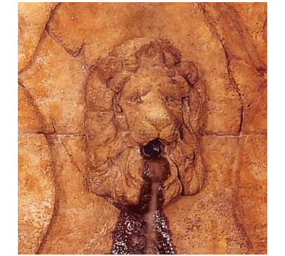 Lion Face Insert