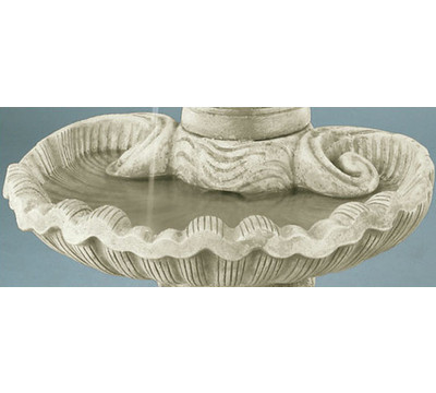 Shell Design