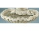 Shell Design