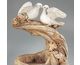 Top View