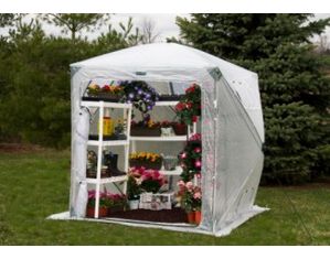 Flowerhouse OrchidHouse Greenhouse