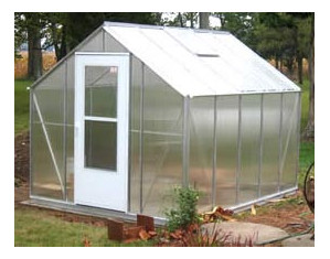 Essex 8 ft Devon Greenhouse - FREE Inside Delivery!