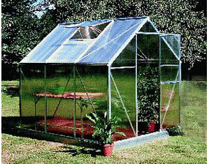 Juliana Basic 450 Greenhouse - Fast FREE FedEx Shipping!