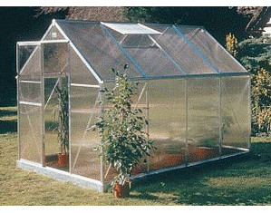 Juliana Basic 600 Greenhouse