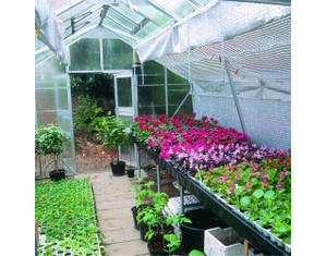 Juliana Gardener 7200 Greenhouse - FREE Inside Delivery!