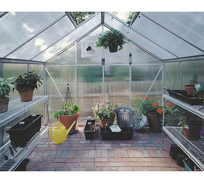 Juliana_Premium_9.9_Greenhouse.jpg