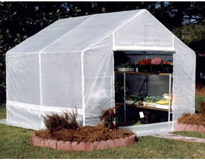King Canopy 10 x 10 Foot Greenhouse Galvanized Frame - Fast FREE FedEx Shipping!