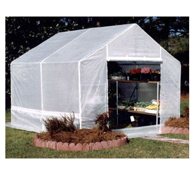 King_Canopy_10_x_10_inch_Greenhouse_Galvanized_Frame_Greenhouse.jpg